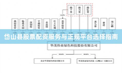 岱山县股票配资服务与正规平台选择指南